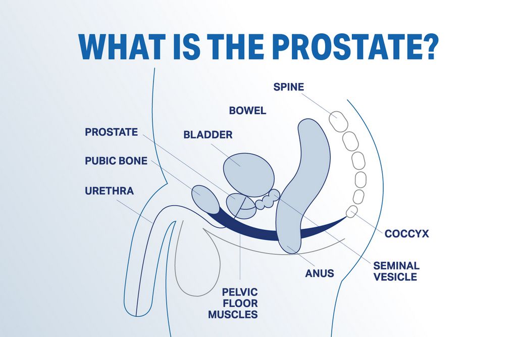Una de las técnicas más eficaces para tratar la prostatitis